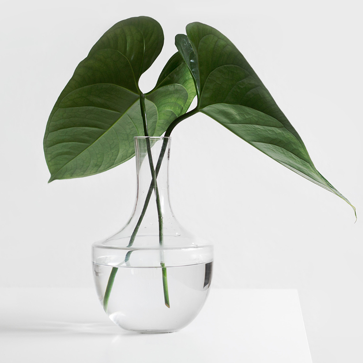 사진 unsplash