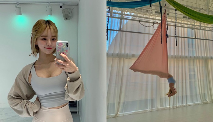 맹승지