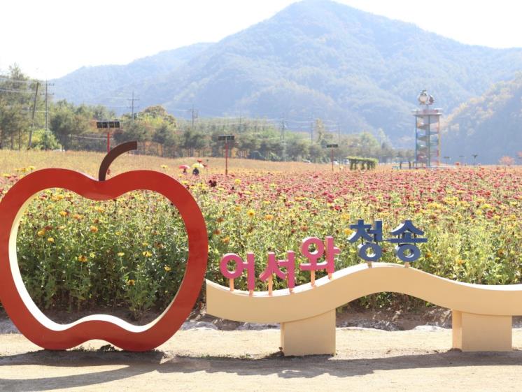 청송사과축제 행사 사진