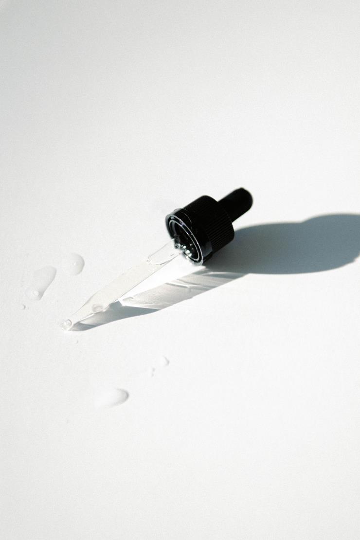 사진 언스플래시