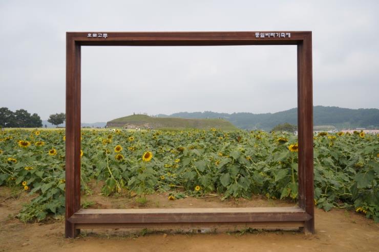 호로고루