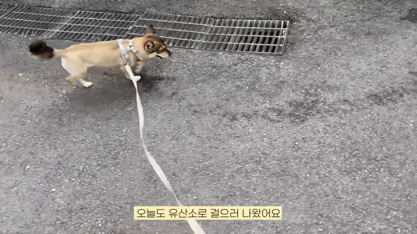 윤승아 유튜브 캡처