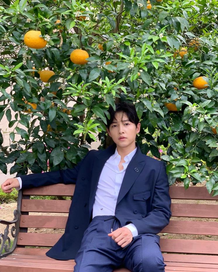 송중기
