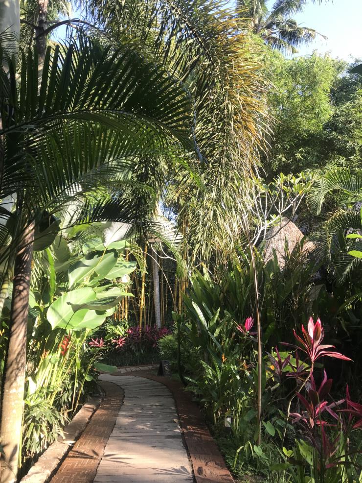 요가반의 아름다운 풍경