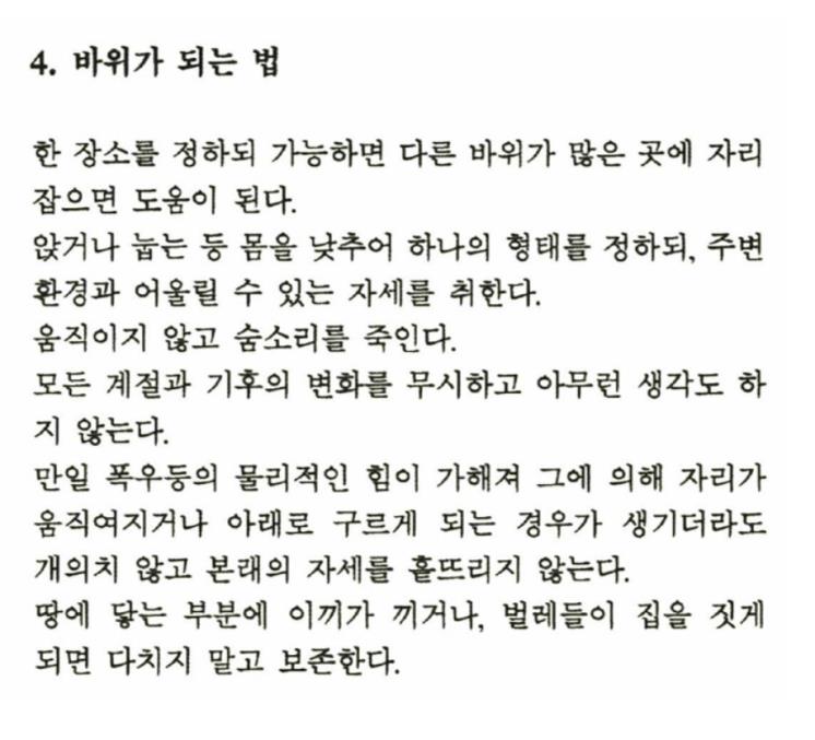 변신술, 바위가 되는 법, ⓒ김범