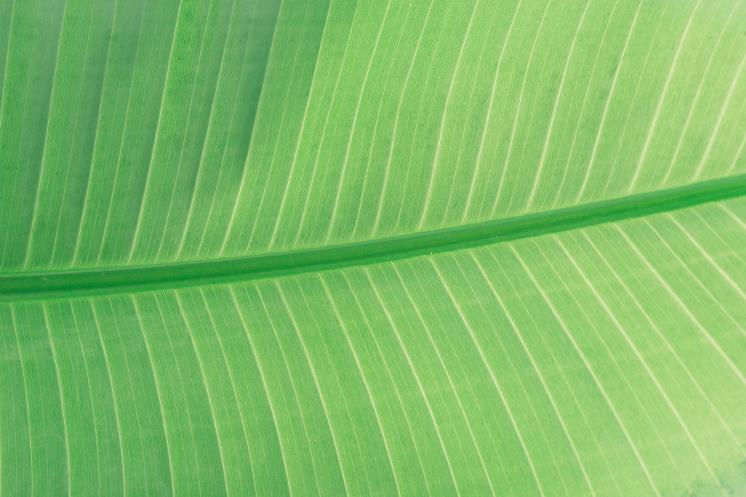 Unsplash