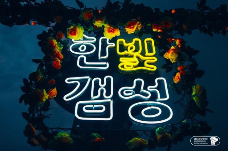 한빛야시장축제