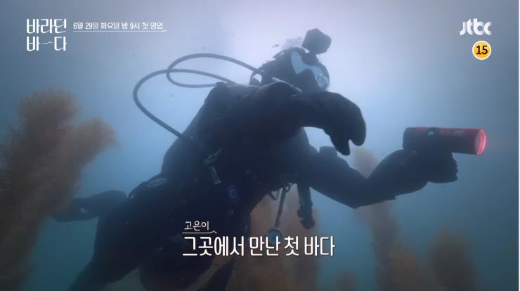 유튜브 채널 '바라던 바다'