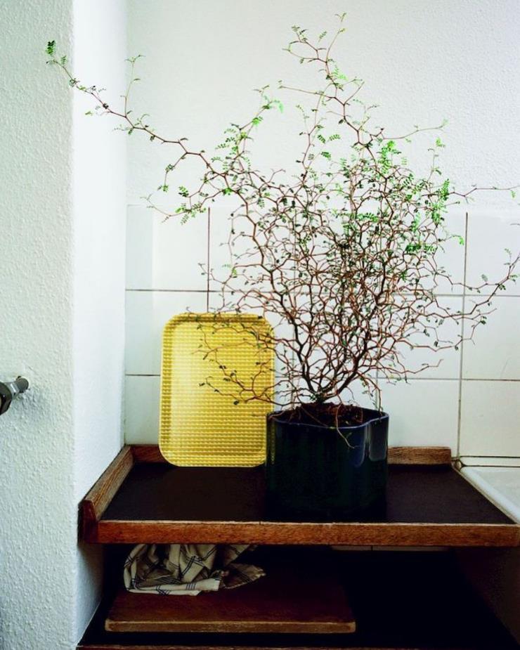 아르텍의 리이히티에 팟. 인스타그램 @artekglobal